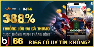 Bj66 có uy tín không