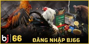 đăng nhập Bj66
