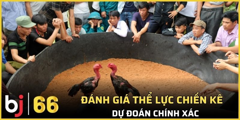 Đánh giá thể lực giúp thành viên có cái nhìn tổng quan