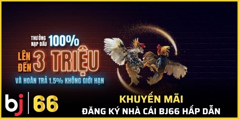 Các chương trình khuyến mãi đăng ký hấp dẫn