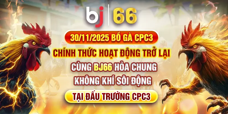 Bồ Gà CPC3 Chính Thức Hoạt Động Trở Lại