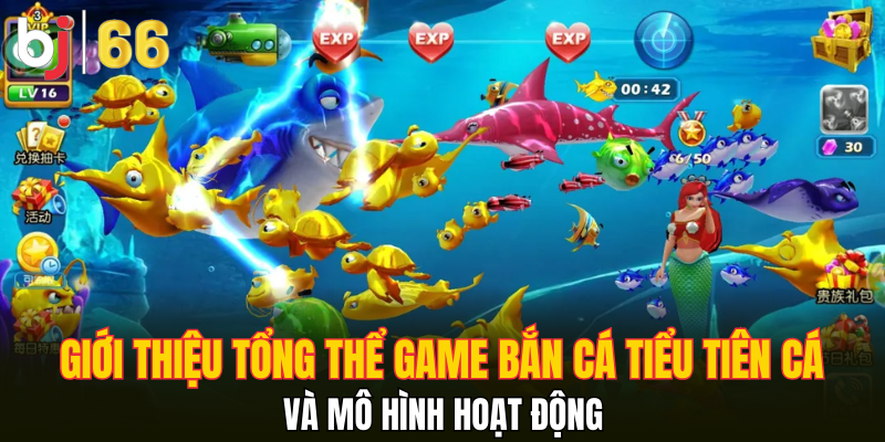 Giới thiệu tổng thể game bắn cá tiểu tiên cá và mô hình hoạt động